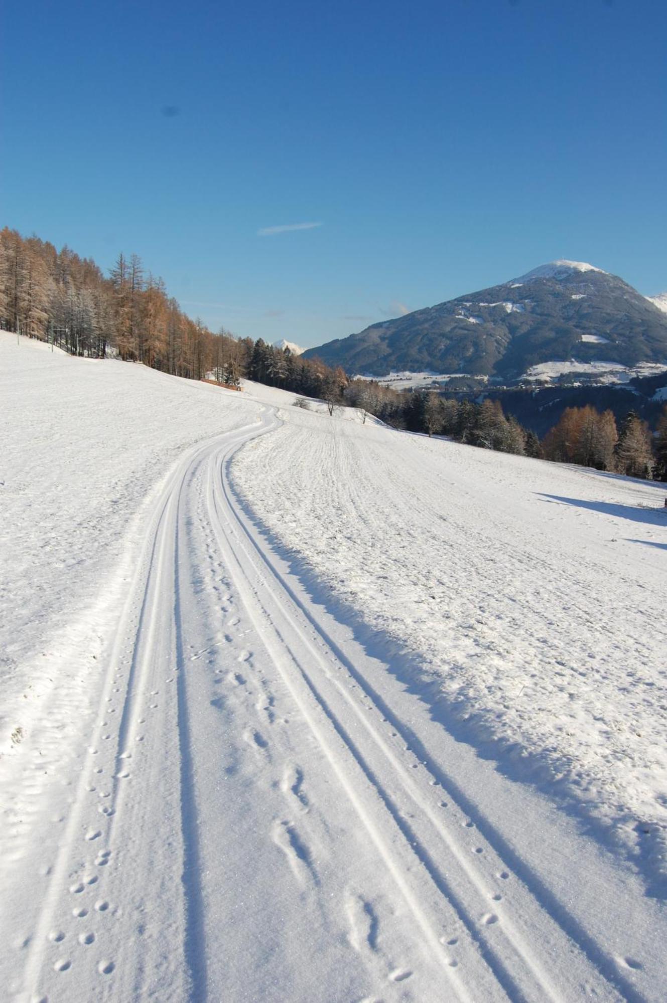 Ferienwohnungen Unterluimes Telfes im Stubai Luaran gambar